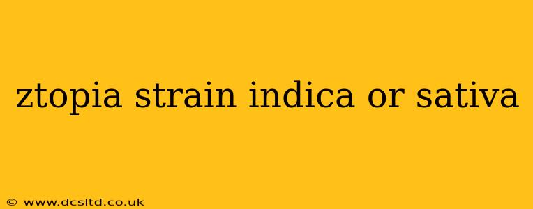 ztopia strain indica or sativa