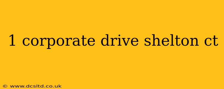 1 corporate drive shelton ct