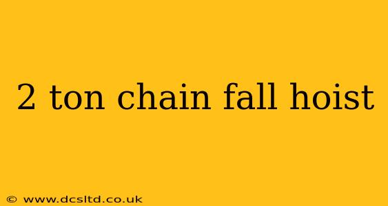 2 ton chain fall hoist