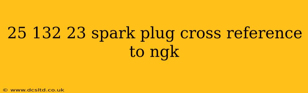 25 132 23 spark plug cross reference to ngk