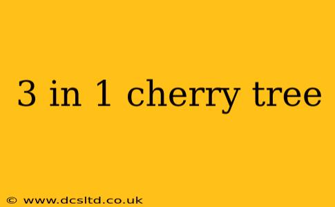 3 in 1 cherry tree