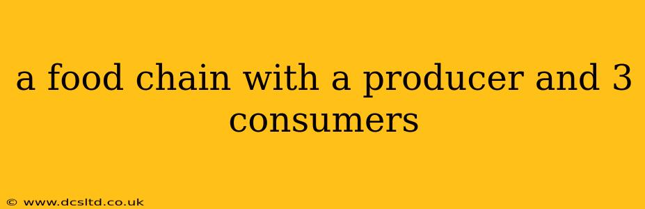 a food chain with a producer and 3 consumers