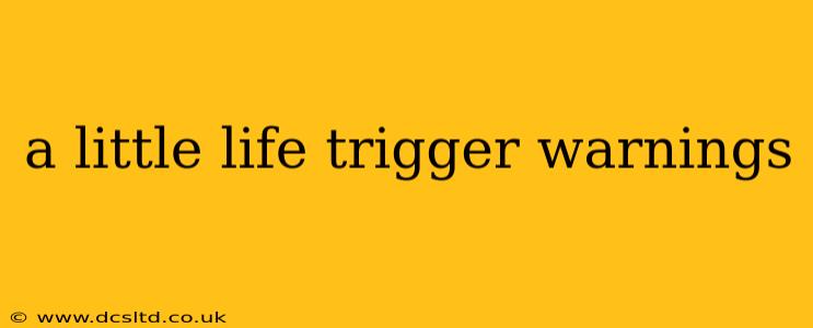 a little life trigger warnings