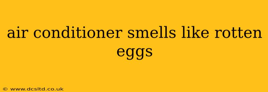 air conditioner smells like rotten eggs