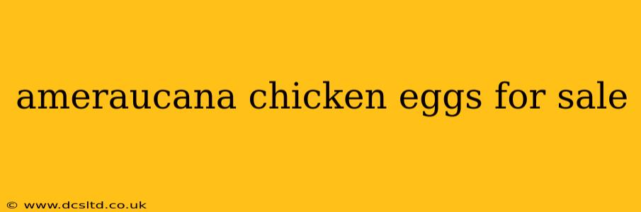 ameraucana chicken eggs for sale