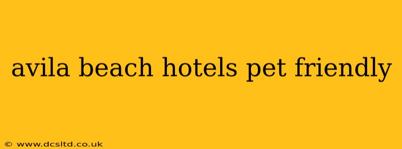 avila beach hotels pet friendly