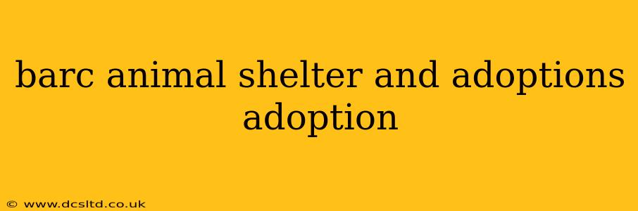 barc animal shelter and adoptions adoption