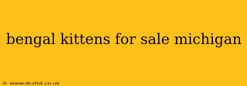 bengal kittens for sale michigan
