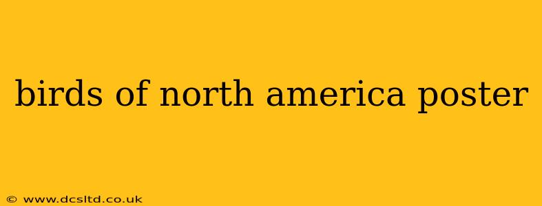 birds of north america poster