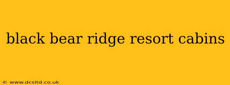 black bear ridge resort cabins