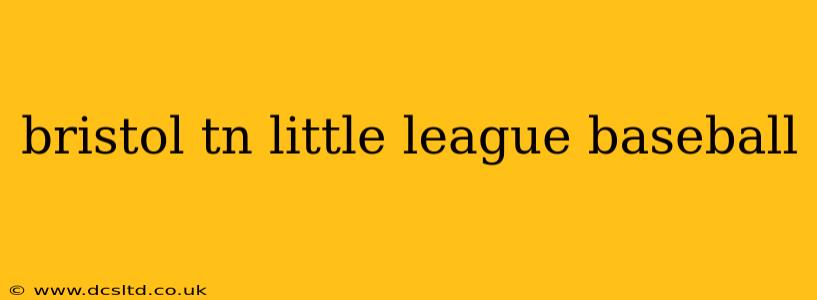 bristol tn little league baseball