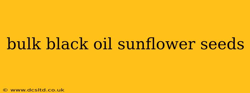 bulk black oil sunflower seeds