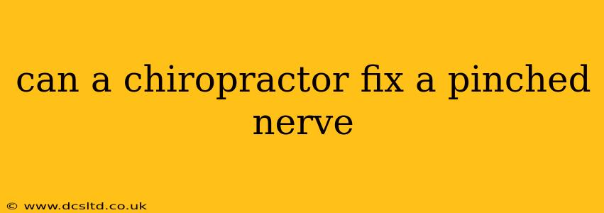 can a chiropractor fix a pinched nerve