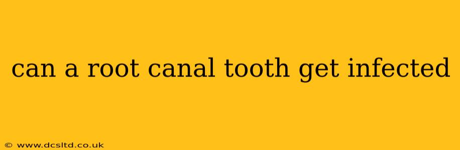 can a root canal tooth get infected
