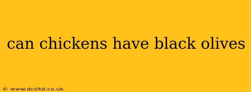can chickens have black olives