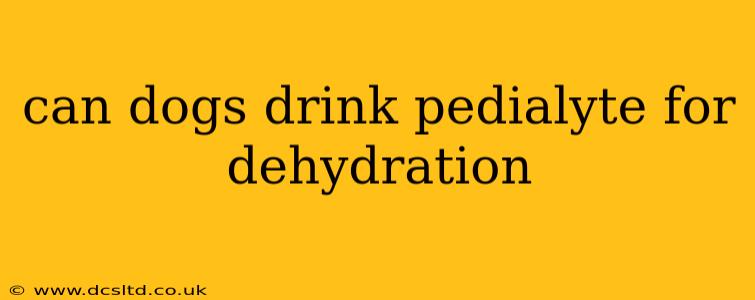 can dogs drink pedialyte for dehydration