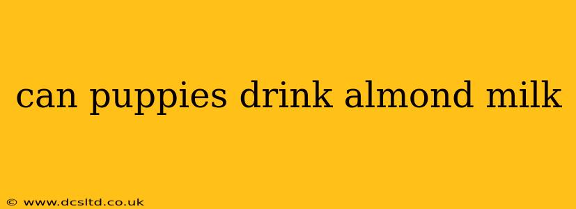 can puppies drink almond milk