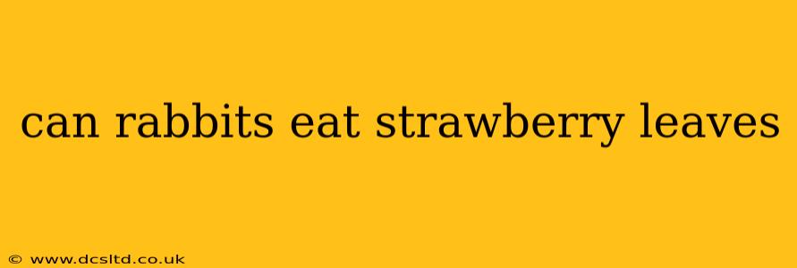 can rabbits eat strawberry leaves