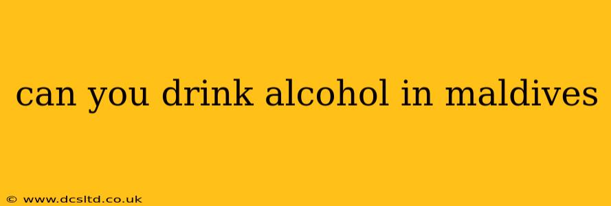 can you drink alcohol in maldives