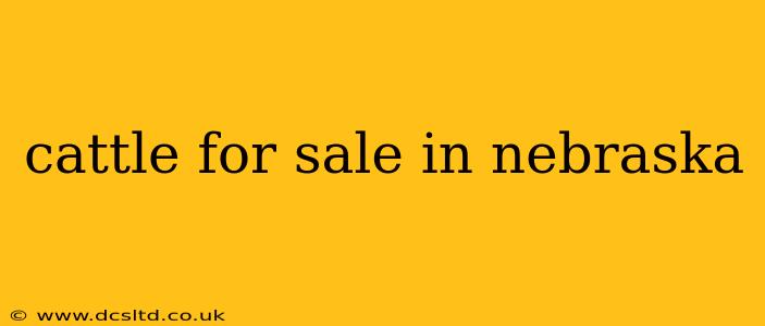 cattle for sale in nebraska