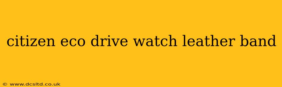 citizen eco drive watch leather band