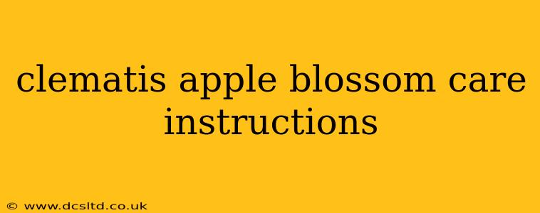 clematis apple blossom care instructions