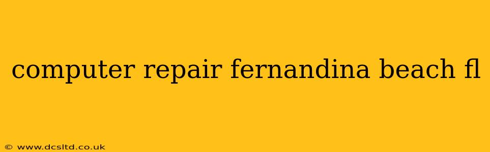 computer repair fernandina beach fl