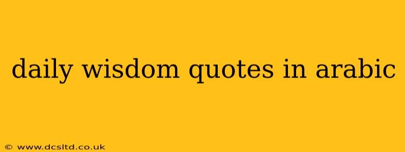daily wisdom quotes in arabic