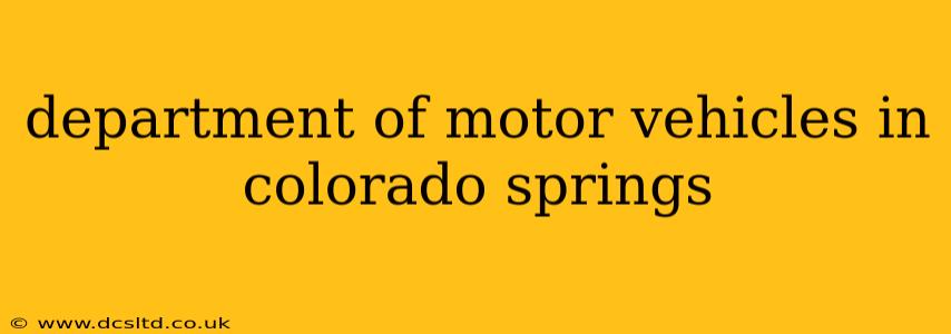 department of motor vehicles in colorado springs
