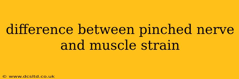 difference between pinched nerve and muscle strain