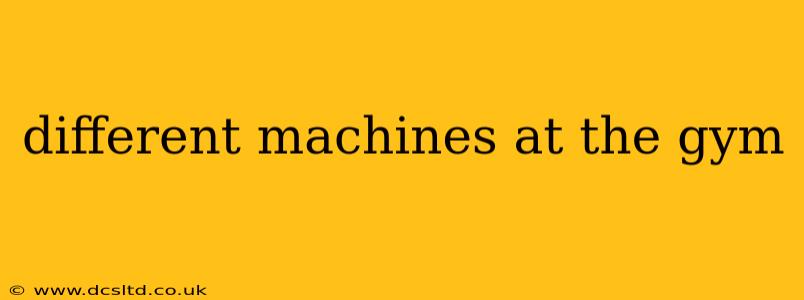 different machines at the gym