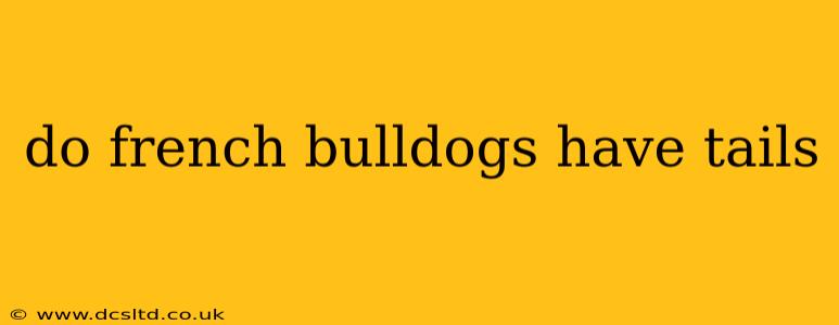 do french bulldogs have tails