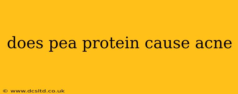 does pea protein cause acne
