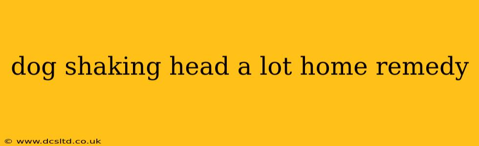 dog shaking head a lot home remedy