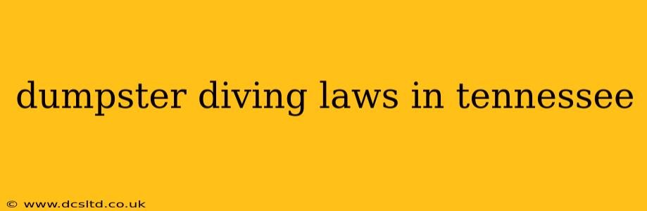 dumpster diving laws in tennessee