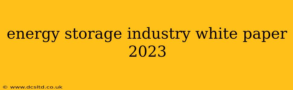 energy storage industry white paper 2023
