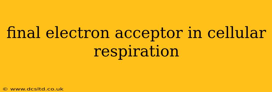 final electron acceptor in cellular respiration
