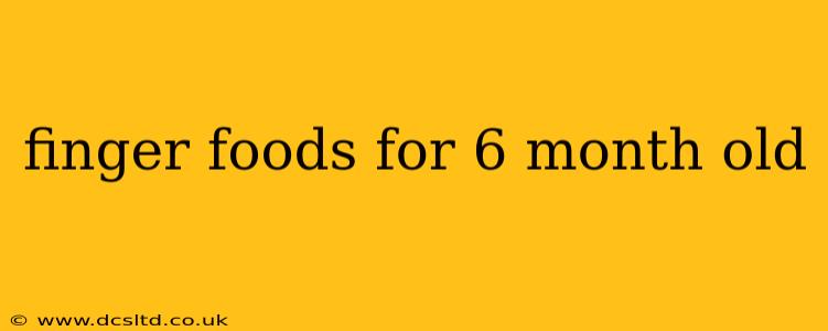 finger foods for 6 month old