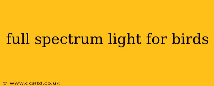 full spectrum light for birds