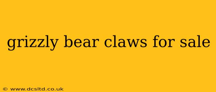 grizzly bear claws for sale