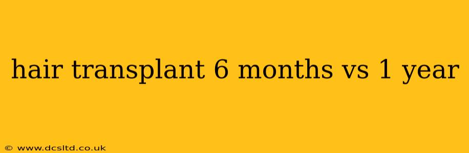 hair transplant 6 months vs 1 year