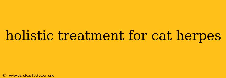 holistic treatment for cat herpes