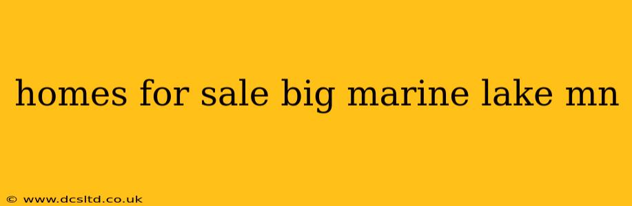 homes for sale big marine lake mn
