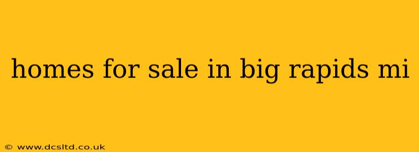 homes for sale in big rapids mi