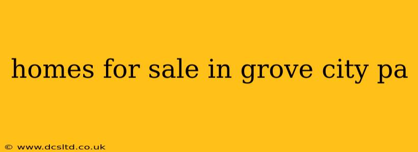 homes for sale in grove city pa