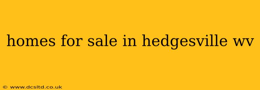 homes for sale in hedgesville wv