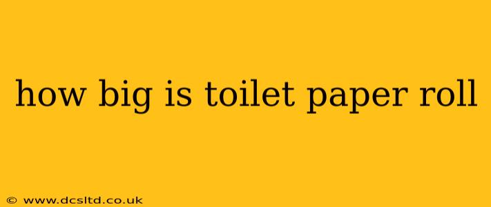 how big is toilet paper roll
