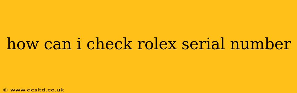 how can i check rolex serial number