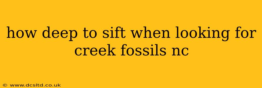 how deep to sift when looking for creek fossils nc