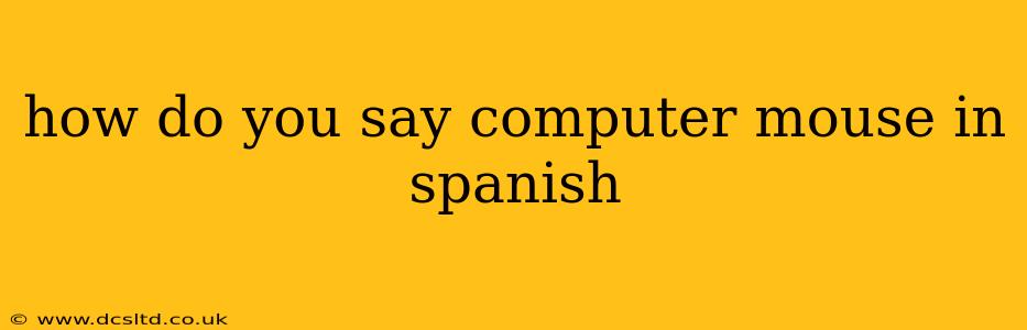 how do you say computer mouse in spanish